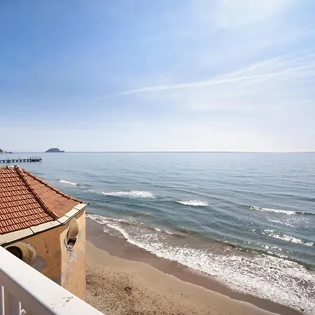 Sunflower * Alassio